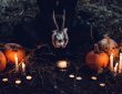 Photo Pumpkin chandelier