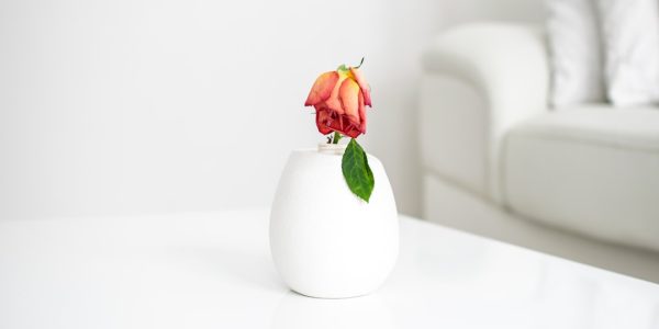 Photo petal table lamp