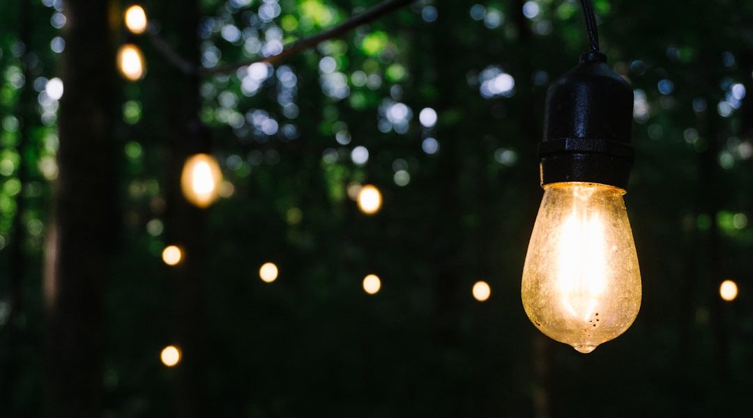 Photo Outdoor Lights